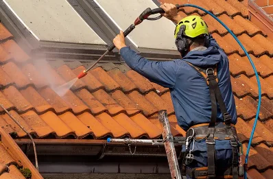 Démoussage et hydrofuge de toiture aux Grandes-Loges